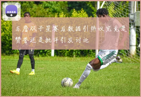 东詹双子星赛后数据引热议究竟是赞誉还是批评引发讨论