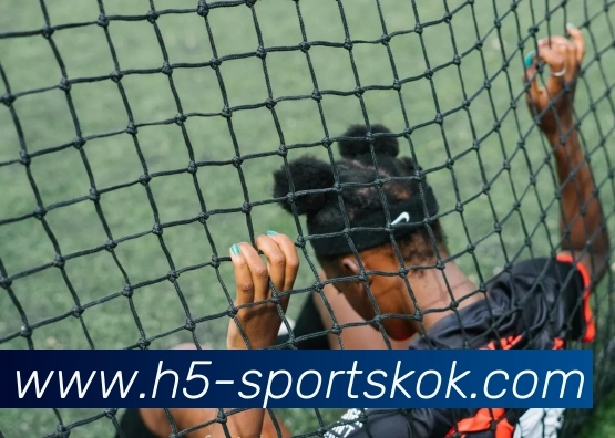 KOK体育APP 高清赛事图